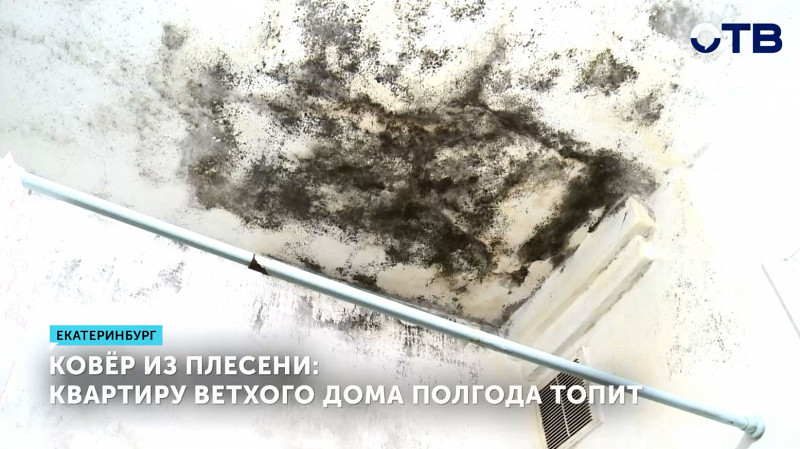 Квартиру ветхого дома в Екатеринбурге полгода топит