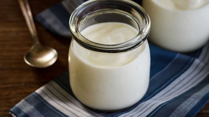 Уральские учёные обогатили йогурт микроводорослями и тропическими листьями