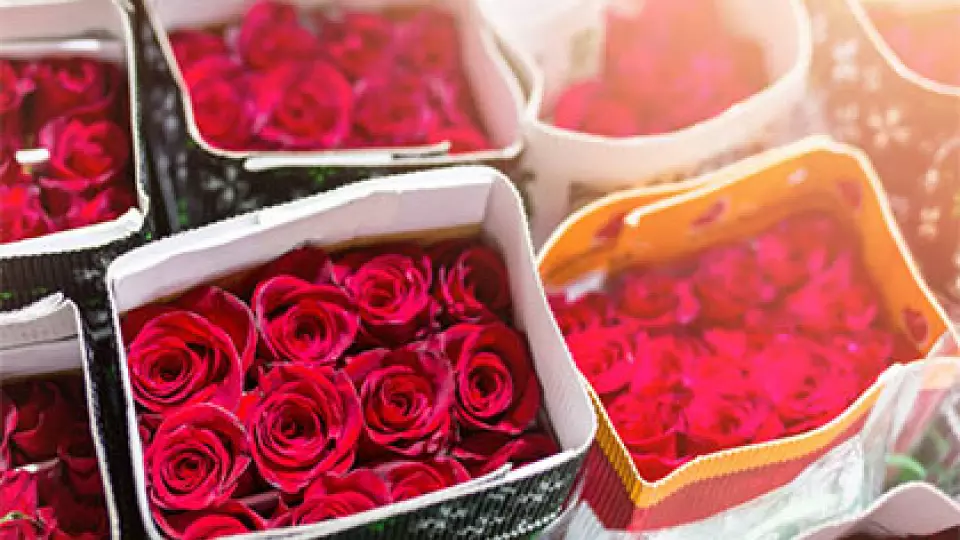 В Екатеринбурге уничтожили партию заражённых цветов из Армении