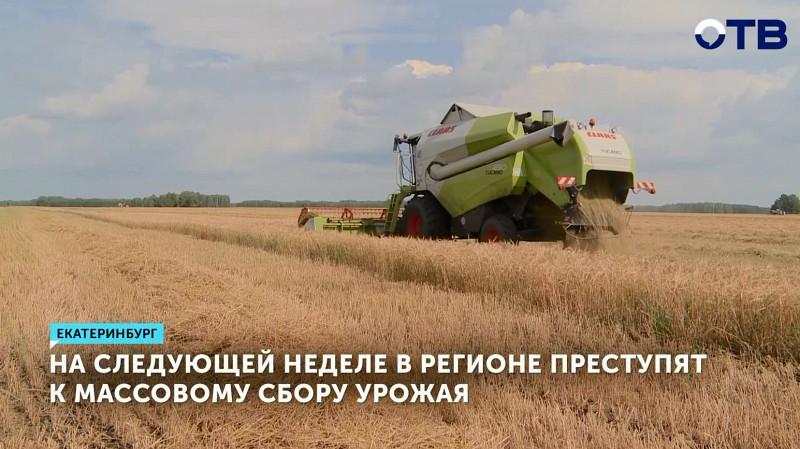 Сбор урожая в Свердловской области начнётся на следующей неделе
