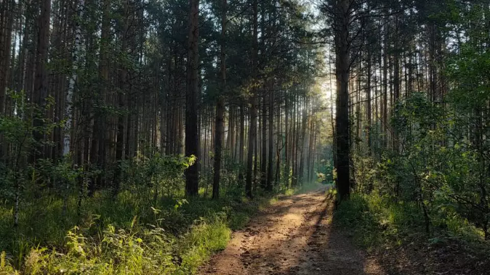 В Свердловской области частное предприятие нарушило экологические нормы