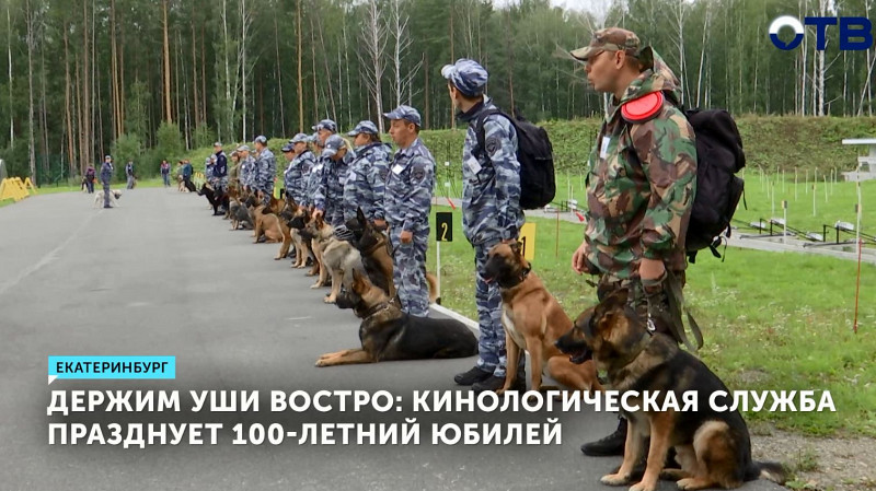 Кинологическая служба празднует 100-летие