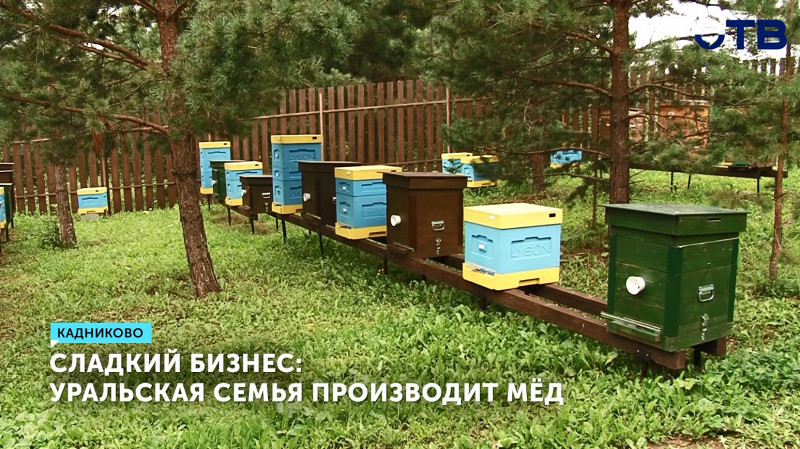 Уральская семья открыла домашнюю пасеку