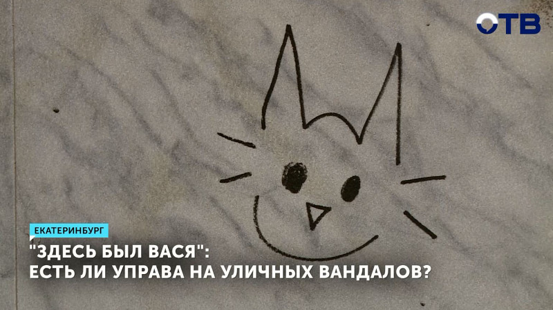 Как найти управу на уличных вандалов?