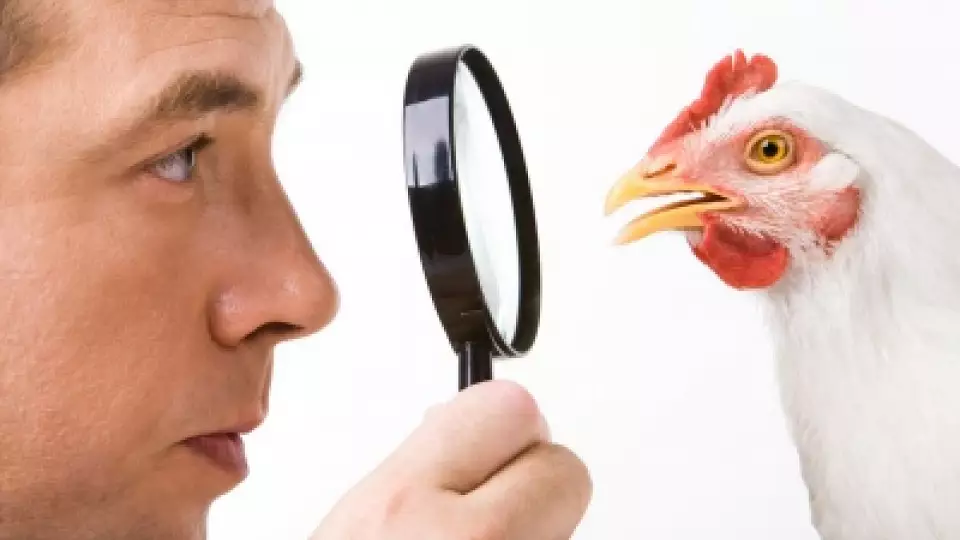 Россельхознадзор выявил на Среднем Урале 70 тонн продукции неизвестного происхождения