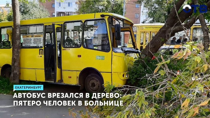 В Екатеринбурге пассажирский автобус резался в дерево