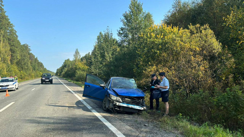 В Режевском районе произошло смертельное ДТП