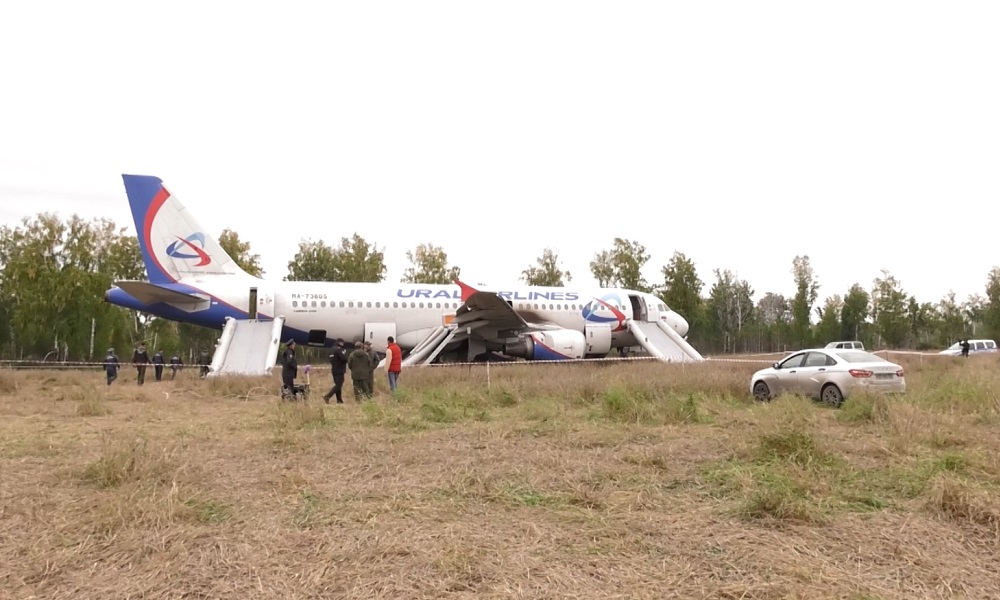 Самолет, совершивший аварийную посадку в поле, демонтируют до конца 2024 года