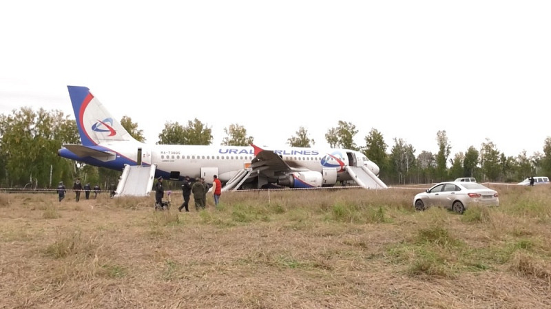 Самолет, совершивший аварийную посадку в поле, демонтируют до конца 2024 года