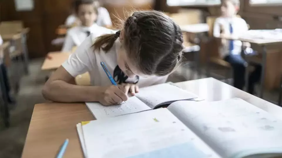 Глава города Алексей Орлов высказался по поводу платного обучения детей мигрантов