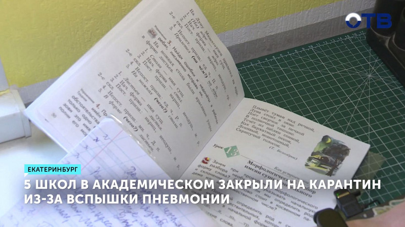 5 школ в Академическом закрыли на карантин из-за вспышки пневмонии