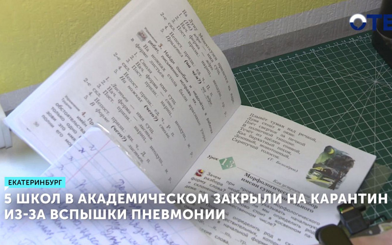 5 школ в Академическом закрыли на карантин из-за вспышки пневмонии