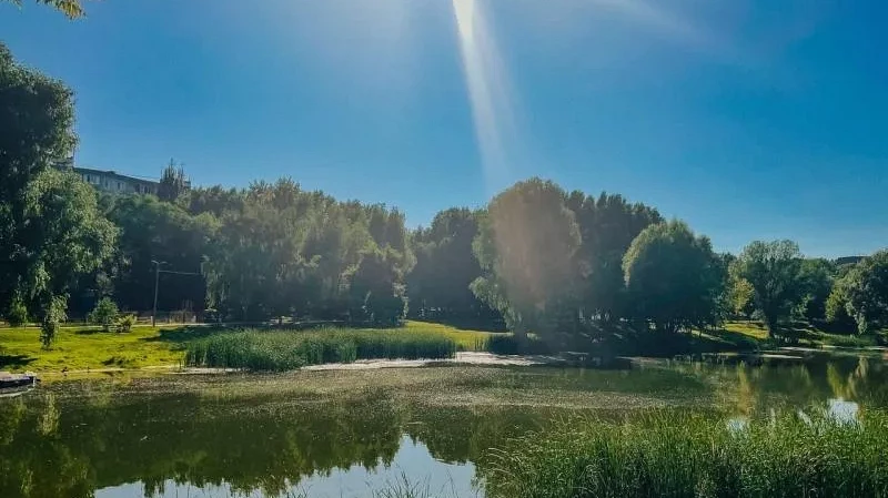 Инфекции, передающиеся через воду: от холеры до гепатита