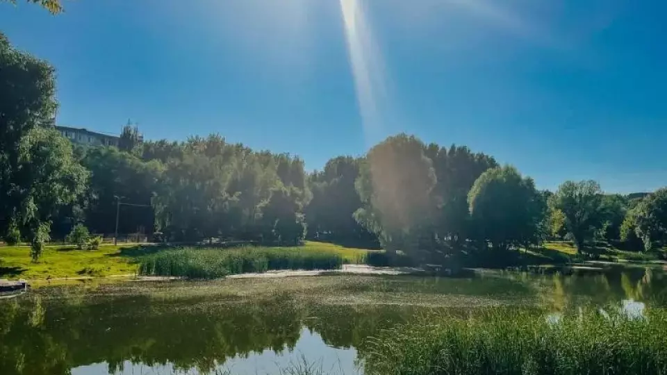 Инфекции, передающиеся через воду: от холеры до гепатита