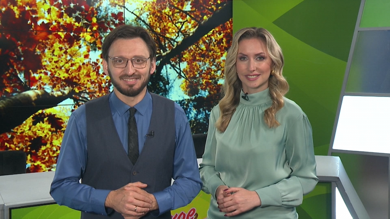 Выпуск «Свердловского утра» от 19.09.24