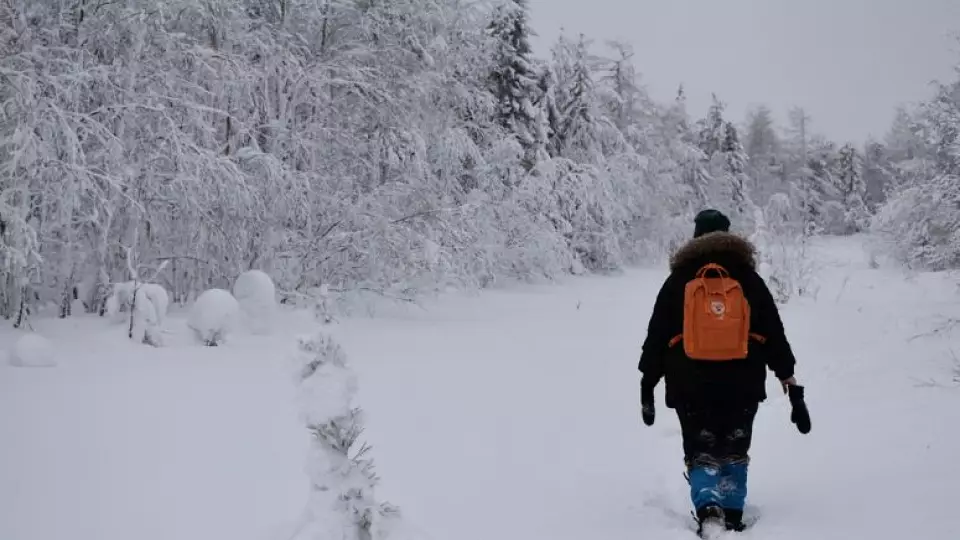 Аномально тёплая зима ожидается в Екатеринбурге