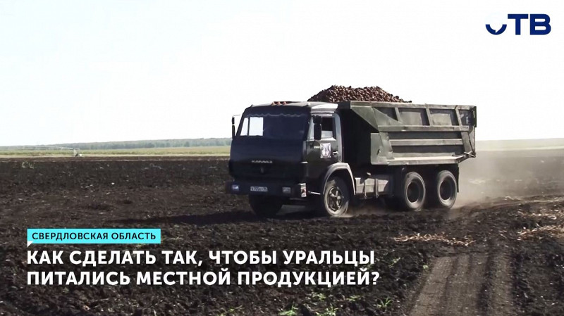 Как сделать так, чтобы уральцы питались местной продукцией?