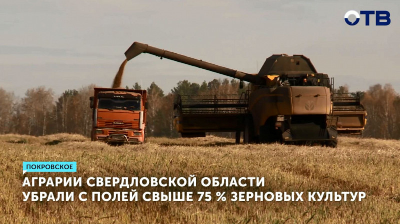 Аграрии Свердловской области убрали с полей свыше 75 % зерновых культур