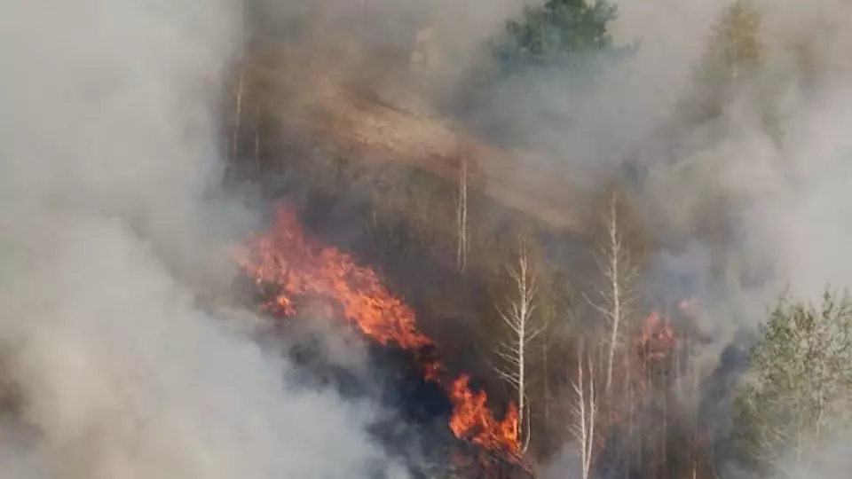 Пожары в Свердловской области за неделю уничтожили более 54 га леса