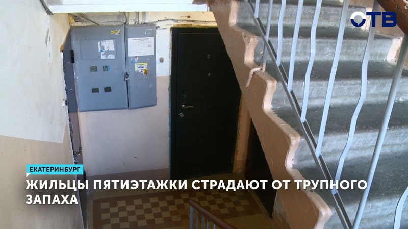 Жильцы пятиэтажки страдают от трупного запаха