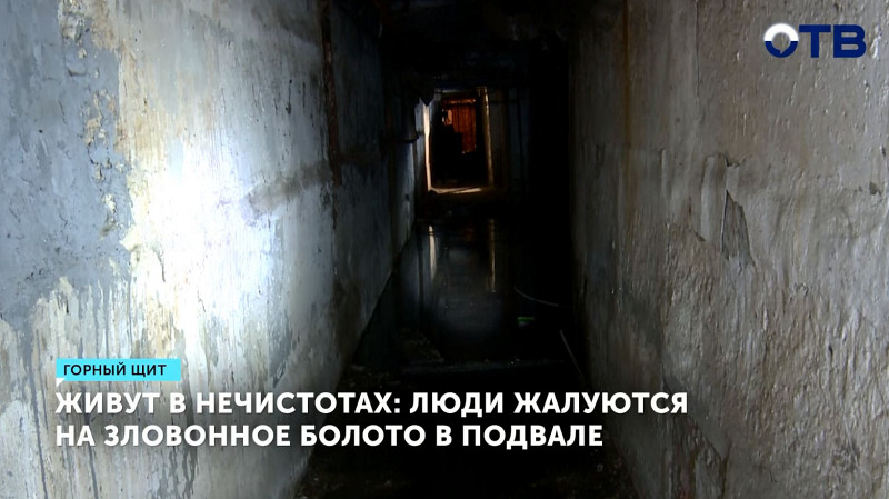 Люди жалуются на зловонное болото в подвале