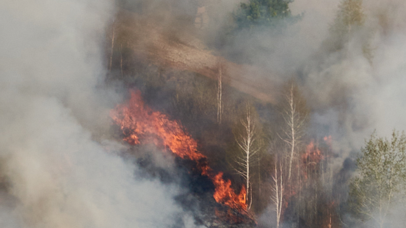 Высокая пожарная опасность может вернуться в Свердловскую область