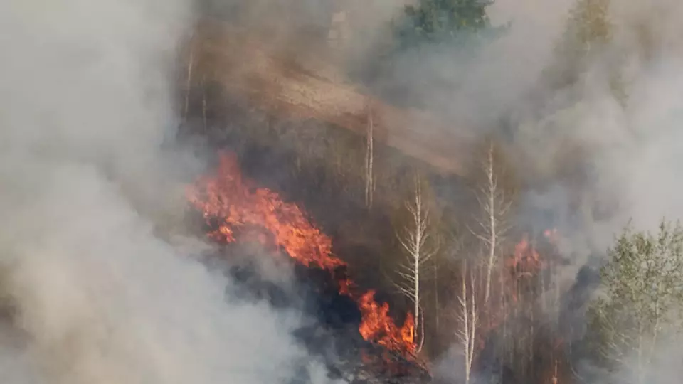Высокая пожарная опасность может вернуться в Свердловскую область