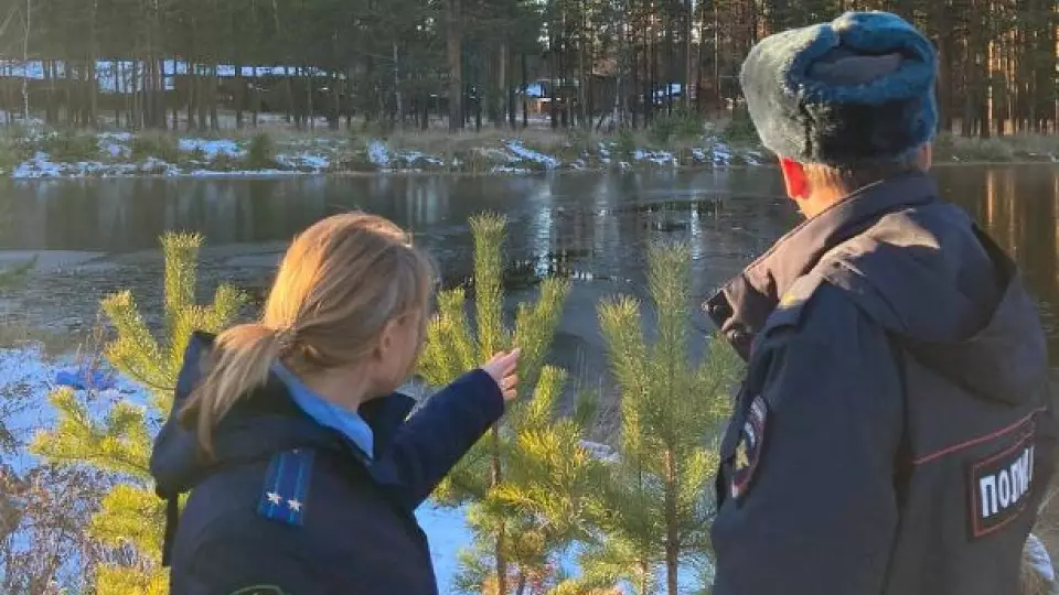 В Горноуральском округе двое детей погибли, провалившись под лёд