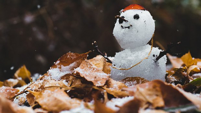 Тюменцы платят за уборку сентябрьского снега, которого не было