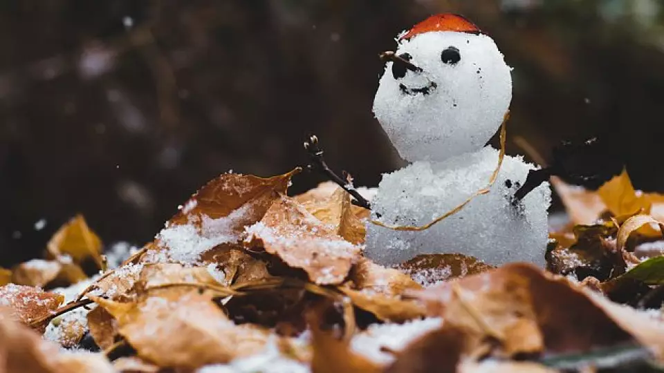 Тюменцы платят за уборку сентябрьского снега, которого не было