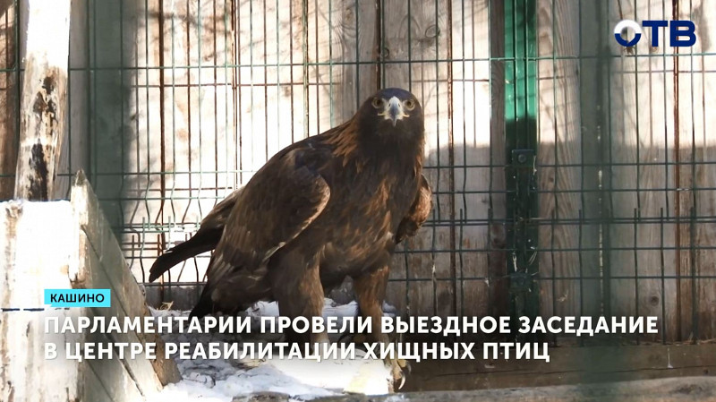 Парламентарии провели выездное заседание в центре реабилитации хищных птиц