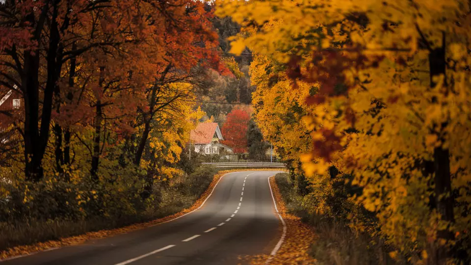 На трассе М-11 «зазвучала» мелодия «Калинка-Малинка»