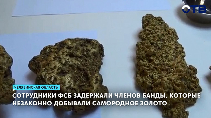 Сотрудники ФСБ задержали членов банды, которые незаконно добывали самородное золото