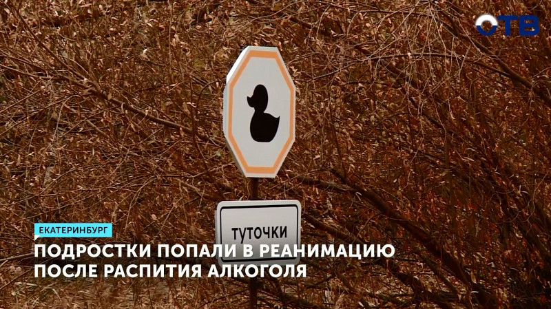 Подростки попали в реанимацию после распития алкоголя