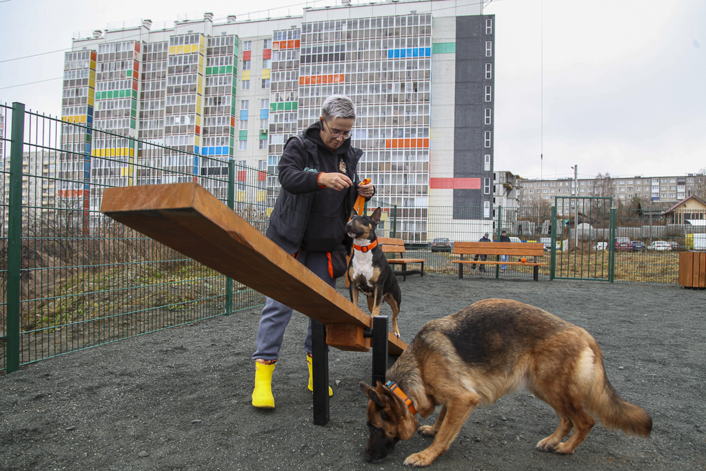 В Первоуральске открыли две новые площадки для выгула собак