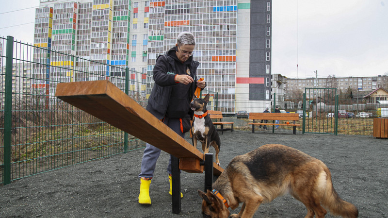 В Первоуральске открыли две новые площадки для выгула собак