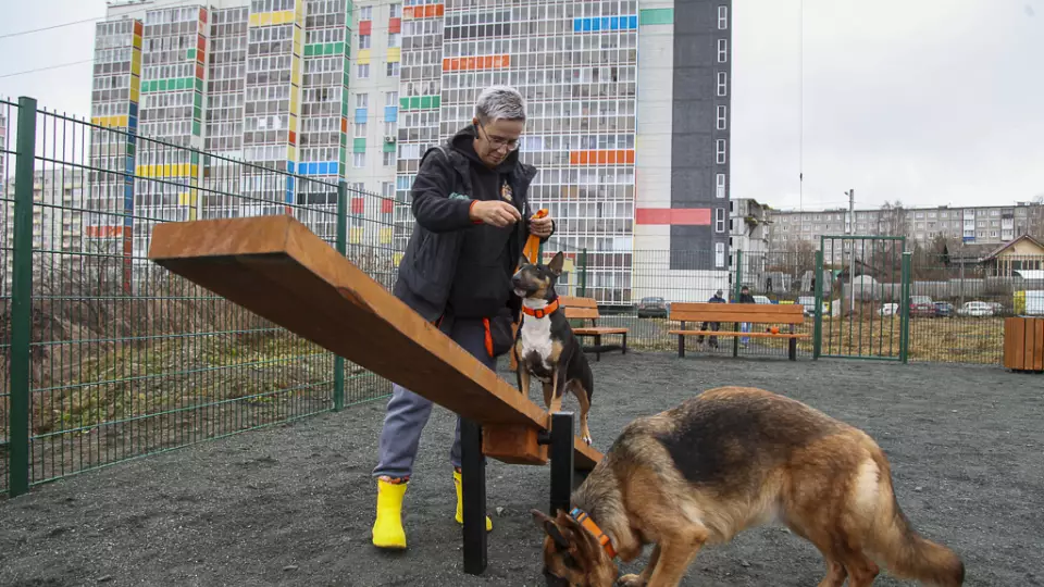 В Первоуральске открыли две новые площадки для выгула собак