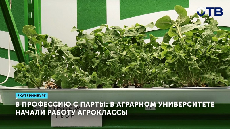 В Аграрном университете начали работу агроклассы
