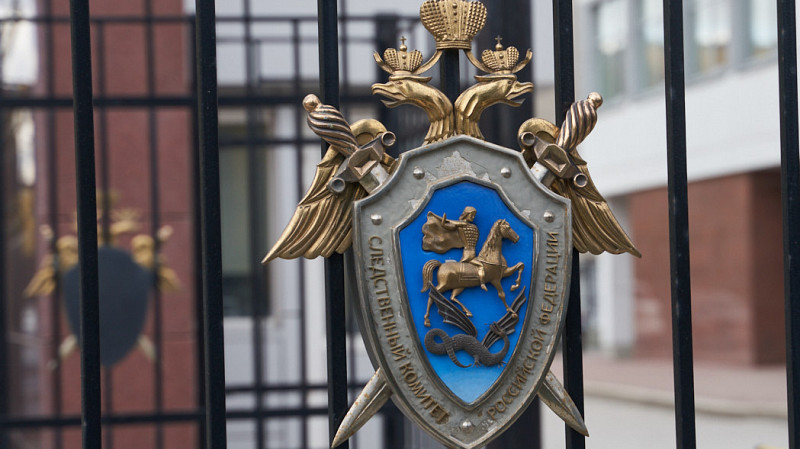 Бастрыкин проверит случай с травмой девочки на скалодроме