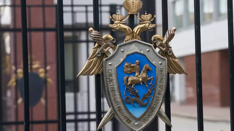 Бастрыкин проверит случай с травмой девочки на скалодроме