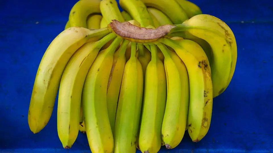 Цены на бананы в России могут вырасти на 50%
