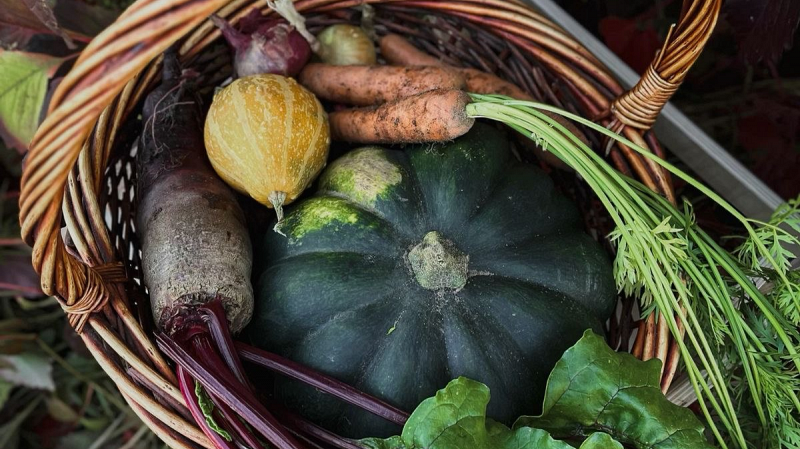 Налоговые льготы для аграриев хотят установить в Свердловской области