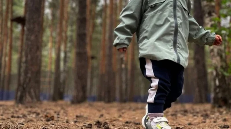 Поисковик рассказал, что нужно делать, если потерялся ребёнок