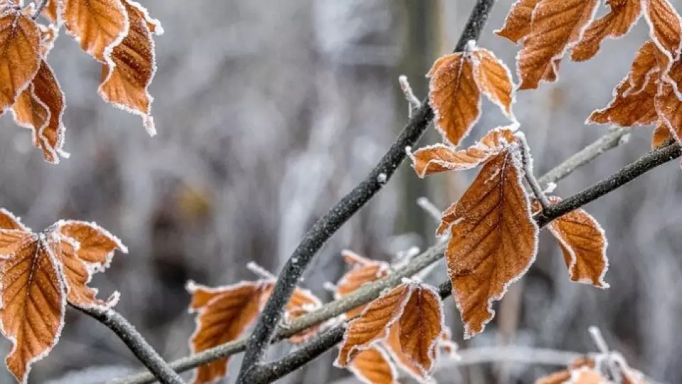 Сильные морозы придут в Свердловскую область на этой неделе