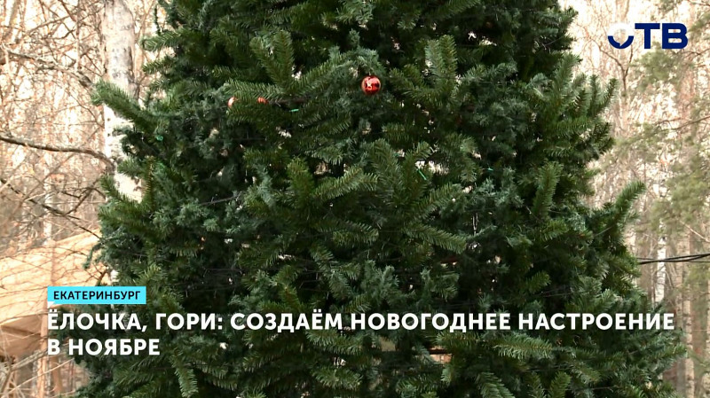 Ёлочка, гори: создаём новогоднее настроение в ноябре