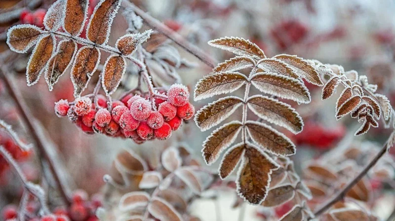 Потепление ожидается в Свердловской области на выходных