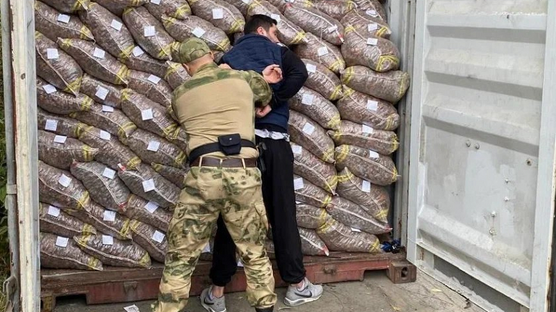 Уральские таможенники нашли контрабанду в сухофруктах
