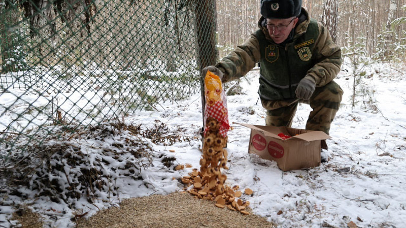 Уральские охотники подготовили веники и соль и для животных