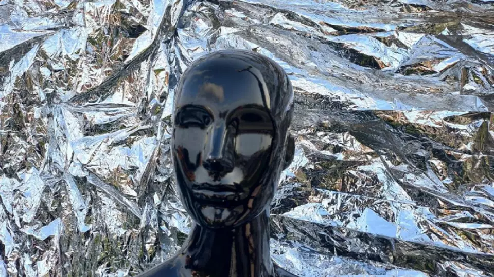 В Индии певец на сцене совершил жертвоприношение