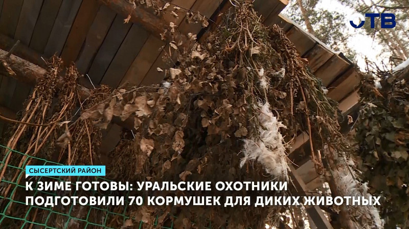 Уральские охотники подготовили 70 кормушек для диких животных